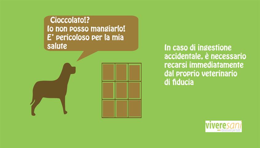 Niente cioccolato ai cani Niente cioccolato ai cani